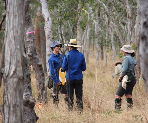 TERN staff in the field, in Australian scrubland